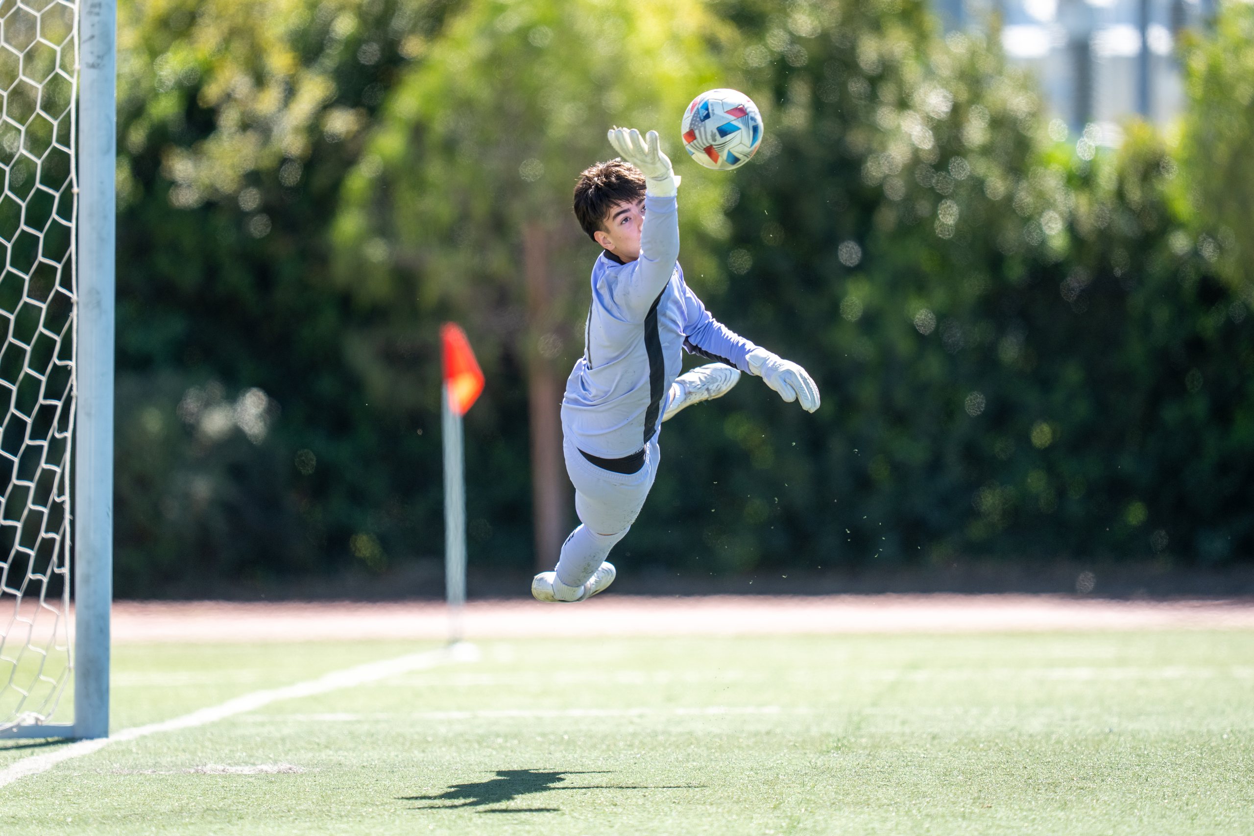 Game Action by Jeff Chapman Photography